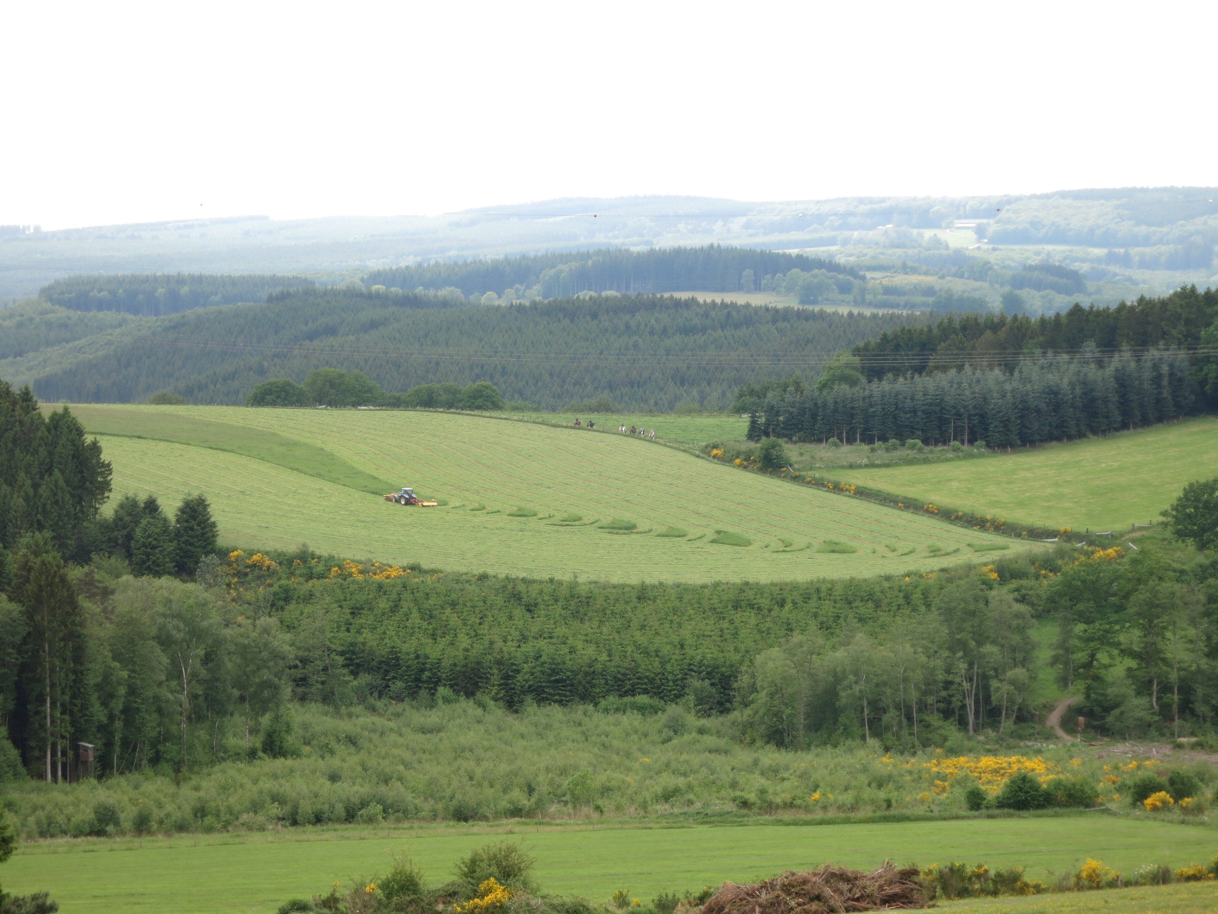HWK Ardennes 2014 014.jpg